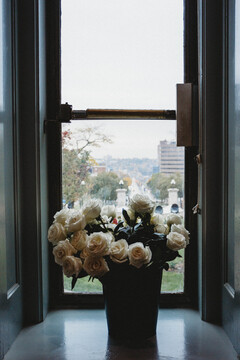 The 35 roses rest on the windowsill of the Hall of Languages before the Rose Ceremony.