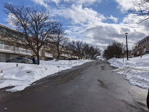 Athletes held a party Feb. 13. in the 200 block of Robert Drive.