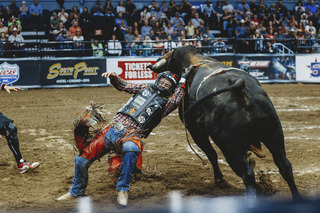 Alex Jenks slides off the bull's back as he loses his grip.