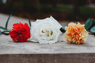 In addition to the roses of the Remembrance Scholars, different colored carnations lay beside them.